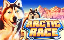 Arctic Race