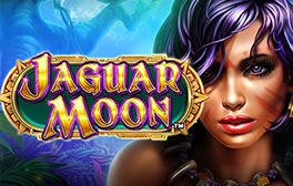 Jaguar Moon
