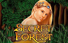 Secret Forest